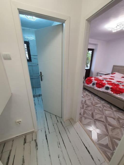 Iasi City - Central Apartment Екстериор снимка